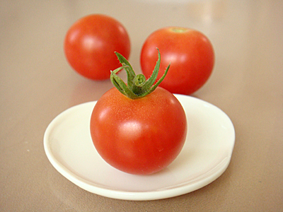 「ちいさなももこ」収穫！